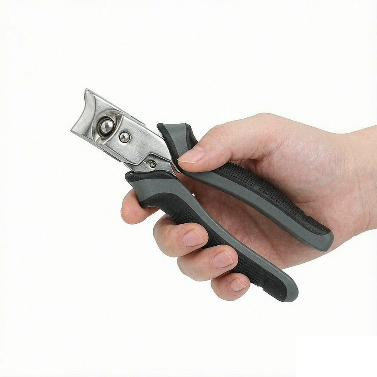 Pet Nail Clippers for Dogs & Cats in use at home | Pawluxia Pet Care Australia
