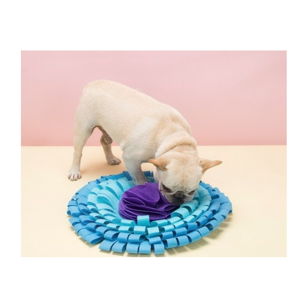 Pawluxia Snuffle Mat for Dogs & Cats | Pawluxia Pet Care Australia