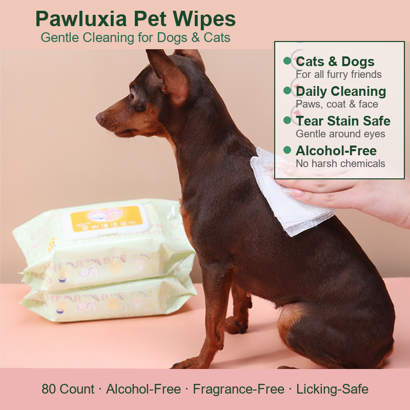 Dog being gently cleaned with Pawluxia pet wipes - safe for daily use