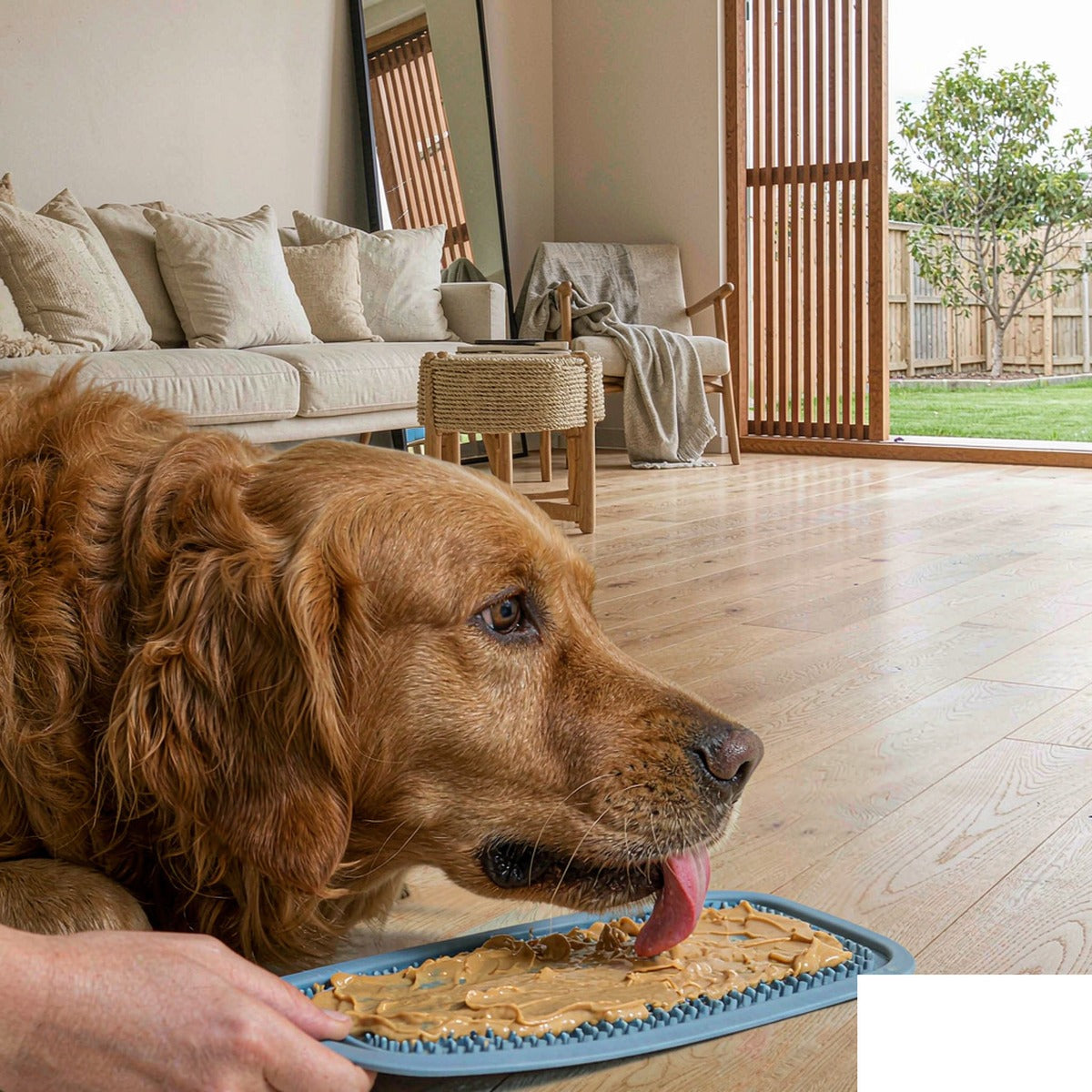 Silicone Lick Mat for Dogs & Cats size reference | Pawluxia Pet Care Australia