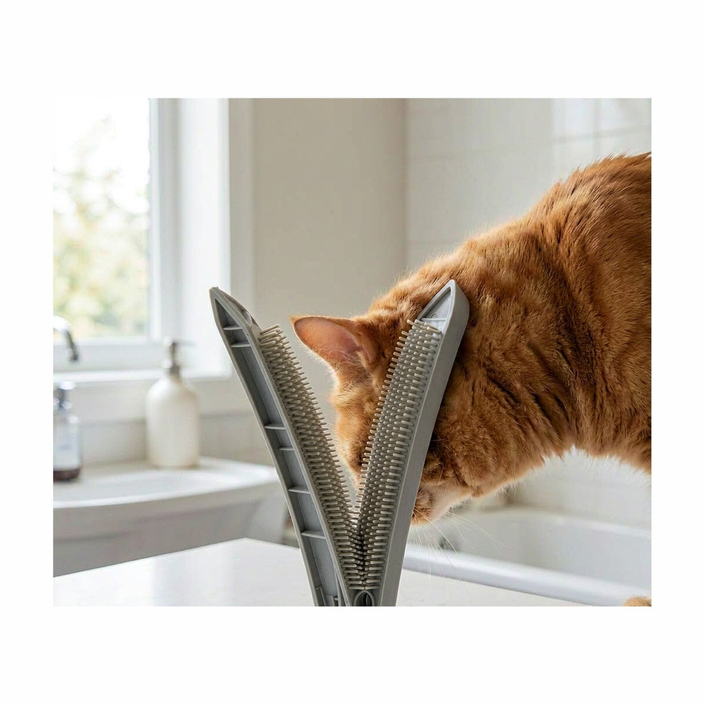 Pawluxia Cat Self | Pawluxia Pet Care Australia
