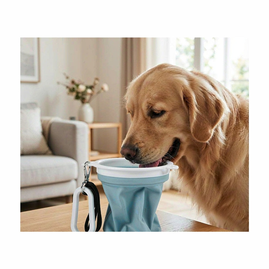 Pawluxia Collapsible Travel Bowl | Pawluxia Pet Care Australia