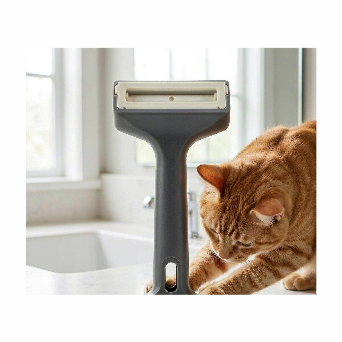 Pawluxia Reusable Pet Hair Remover Roller | Pawluxia Pet Care Australia